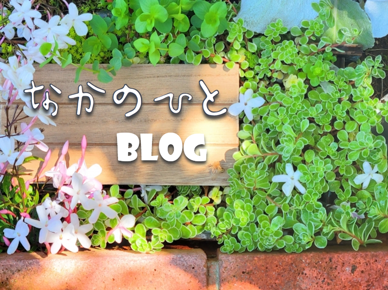 なかのひとblog